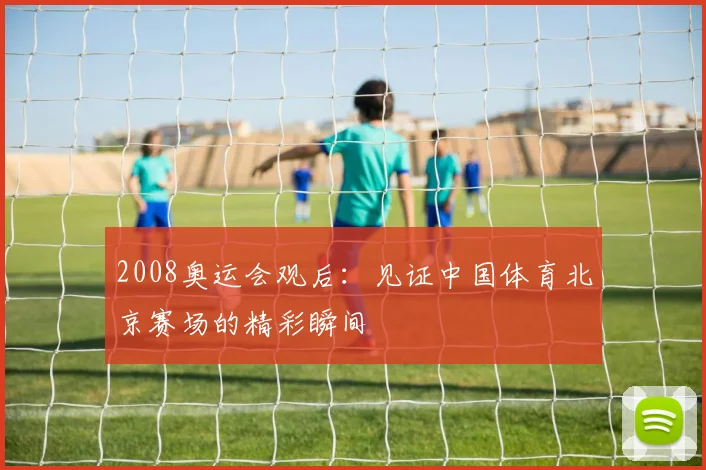 2008奥运会观后：见证中国体育北京赛场的精彩瞬间