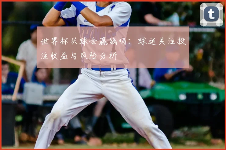 世界杯买球会赢钱吗：球迷关注投注收益与风险分析