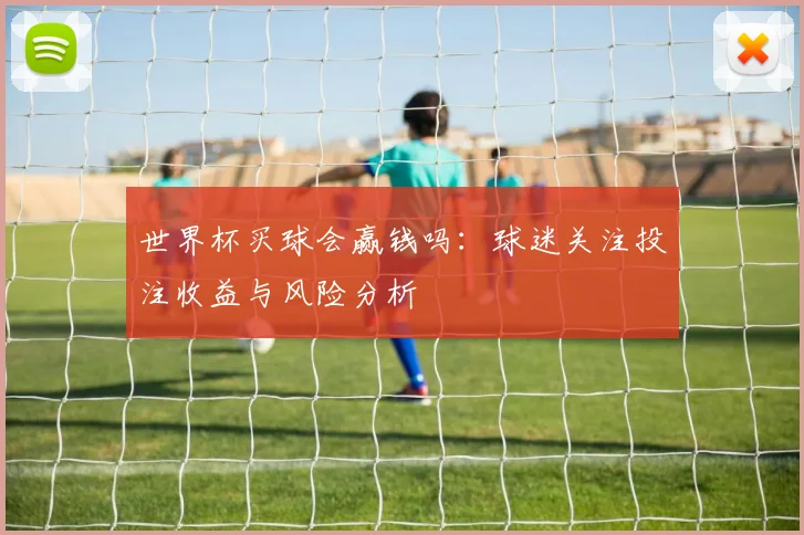世界杯买球会赢钱吗：球迷关注投注收益与风险分析