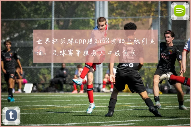 世界杯买球app进ga68典me上线引关注，足球赛事服务入口成焦点