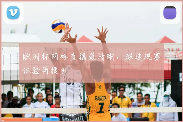欧洲杯网络直播最清晰，球迷观赛体验再提升
