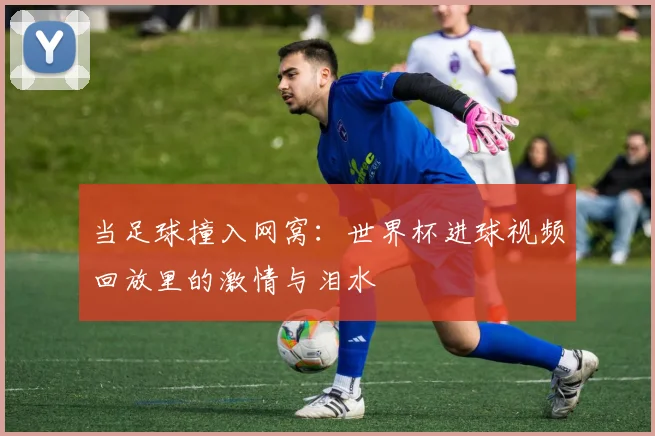 当足球撞入网窝：世界杯进球视频回放里的激情与泪水