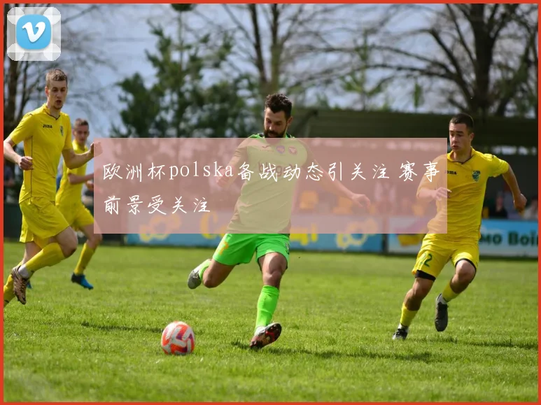 欧洲杯polska备战动态引关注 赛事前景受关注