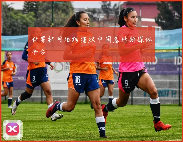 世界杯网络转播权中国落地新媒体平台