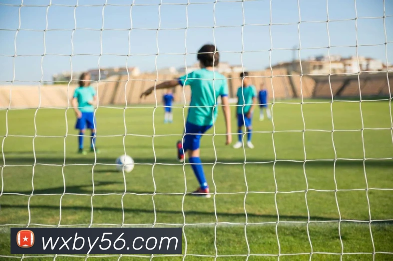 奖项证书